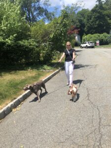 Laura Schreiber Walking Dogs